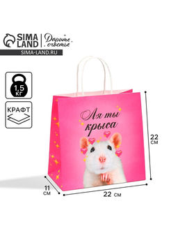 Цена за 2 шт. Пакет подарочный, упаковка, Ля ты, 22?22?11 см