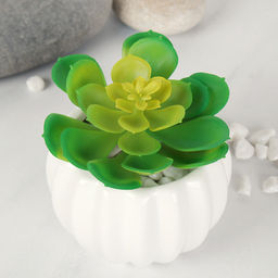 Суккулент искусственный 10х8 см / GN150 /уп 100/ - Галеонтрейд фото 3