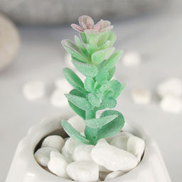 Суккулент искусственный 2,5х9 см / GN113 /уп 100/ - Галеонтрейд фото 4