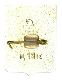 Значок Пирятин