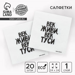 Салфетки бумажные однослойные «Век живи, век туси» 24×24 см, набор 20 шт.