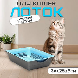 Туалет глубокий с сеткой 36×25×9 см, голубой/серый