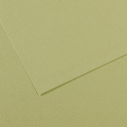 Canson Бумага для пастели Mi-Teintes 160 г/м2 75 х 110 см лист 10 л. №480 Зеленый светлый C31032S149