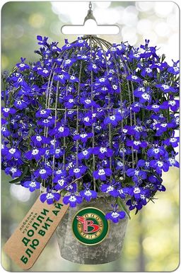 Лобелия кустовая Долли Блю Вит Ай