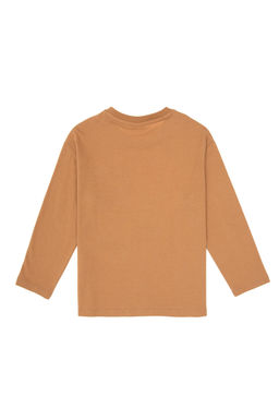 Erkek _ocuk Camel Bisiklet Yaka Sweatshirt - U.s. polo assn фото 2