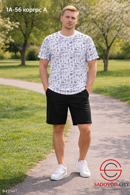 Мужская футболка с принтом