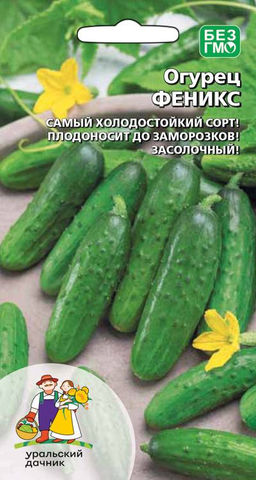 Огурец ФЕНИКС (большой пакет) Семян в 5 раз больше, чем в обычном пакете!