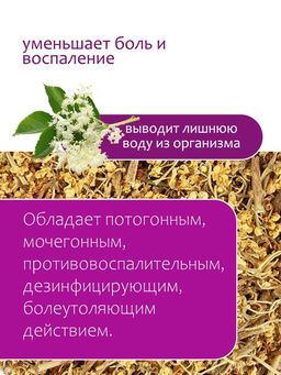 Бузина (цвет) - Травы горного крыма фото 5