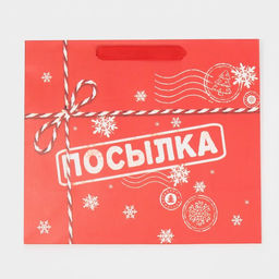 Пакет подарочный новогодний ламинированный «Посылка», ML 27 х 23 х 11.5 см