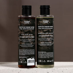 Подарочный набор С Днём оригинальных подарков, гель для душа и шампунь для волос, 2?250 мл, HARD LINE