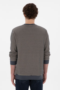 Мужская антрацитная толстовка Неожиданная скидка в корзине - U.s. polo assn фото 12