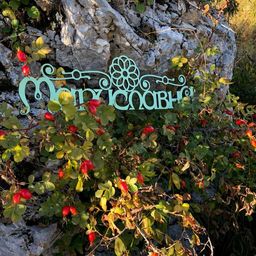 2 шт. Шиповник (плоды) - Мариславна фото 3