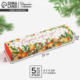 Цена за 5 шт. Коробка для конфет, кондитерская упаковка, 5 ячеек, «Новогодняя ботаника», 5×21×3 см