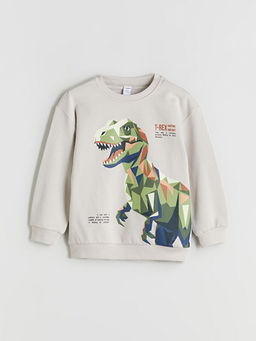 Dinozor Fig?rl? Erkek ?ocuk Sweatshirt 2li
