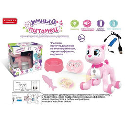 Кошечка на р/у, с проектором, звуки, музыка, подсветка (ZY879659) в коробке 27*21*28.5см