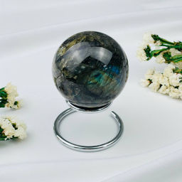 Шар из Лабрадора на подставке