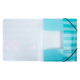 Лео Учись Папка на резинке A4 LRF-06 450 мкм 35 мм песок 5 шт. 04-Корги