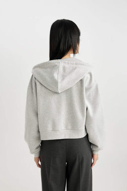 Толстовка на молнии с капюшоном Cool Regular Fit - Defacto фото 6