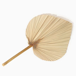 Сухие цветы «Лист пальмовый», 50×25×2 см