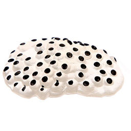 Обучающий набор Этапы развития лягушки 5 фигурок - Simaland фото 2