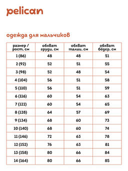 BFJP7021U джемпер для мальчиков