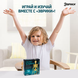 Набор для опытов Скелет человека - Эврики фото 4