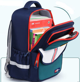 Рюкзак GO-2028-Blue/Pink - Ferro фото 2