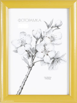 Фоторамка 10х15 / 10003-8/уп10