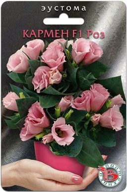 8ac36a94a80345737547a483750bc9631lgqf4gioskz5fxs99