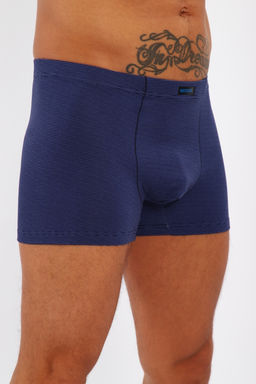 Трусы мужские 45056