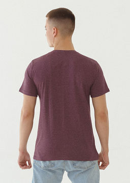 Футболка мужская М1-379 P - Глория Трикотаж фото 44