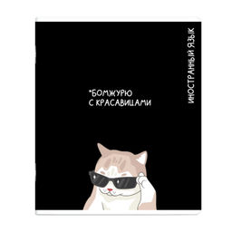 Тетрадь предметная арт. 69829/ 16 КОТЫ МЕМЫ ИНОСТРАННЫЙ ЯЗЫК /48 л., А5+, вн.блок - клетка, белый