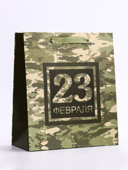 Цена за 2 шт. Пакет подарочный вертикальный «23 февраля», ML 23×27×11.5 см