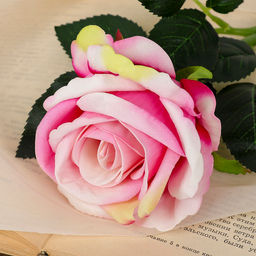 Цветы искусственные «Роза венесуэльская», 8×23 см, розовые