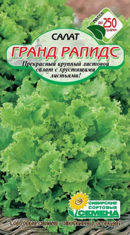 Гранд Рапидс салат 0,5гр (ссс) Р