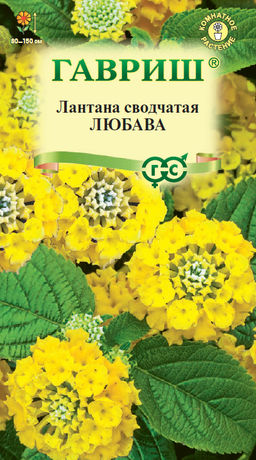 Лантана сводчатая Любава* 0,1 г