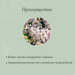 Цена за 2 шт. Кустодержатель для цветов, d = 40 см, h = 120 см, ножка d = 1 см, металл, зелёный - Simaland фото 2