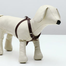 Шлейка кожаная для кошек и маленьких собак,ОШ19-30 см,ОГ 25-37 см,1.2 см, микс видов, цветов - Пижон фото 4