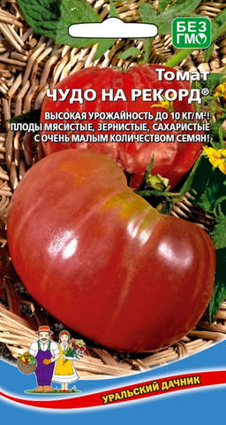 Томат ЧУДО НА РЕКОРД Высокая урожайность до 10 кг/м/кв! Плоды мясистые, зернистые, сахаристые с очень малым количеством семян!