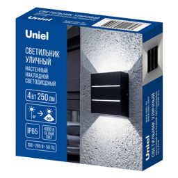 ULU-P31B-4W/4000K IP65 BLACK Светильник светодиодный уличный. Архитектурный накладной. Белый свет (4000K). Корпус черный. TM Uniel