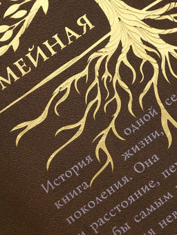 Родословная книга со встроенной флешкой 16 Gb «Семейная летопись», 17.5×23 см