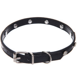 Цена за 4 шт. Ошейник для собак и кошек со стразами "На стиле", цвет черный, 1см, размер S, 28*30см (лейбл)