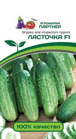 Огурец пчелоопыляемый Ласточка