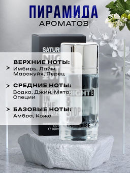 Туалетная вода мужская Saturday Night, 100 мл