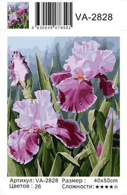 Цветы - Colibri фото 2