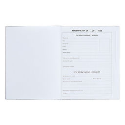 Дневник школьный для 1-11 классов «Аниме. Парень и небо», твёрдая обложка, глянцевая ламинация, 40 листов