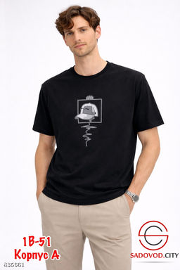 Футболка мужская с рисунком