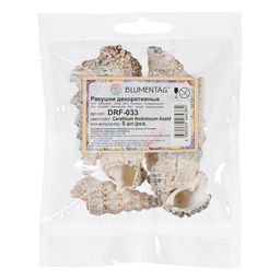 Blumentag / Zlatka DRF-033 Ракушки морские 5 шт. 9.5 см Cerethium Nodolosum Asstd  фото 3