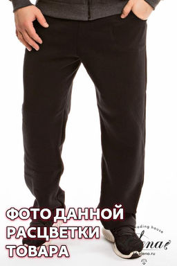 Брюки (начес) Арт. 11606 Черный