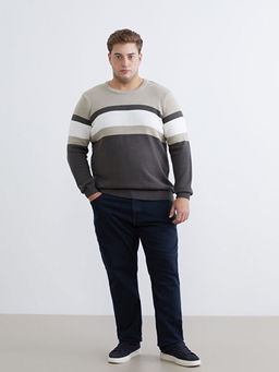 Bisiklet Yaka Renk Bloklu Erkek Triko Kazak